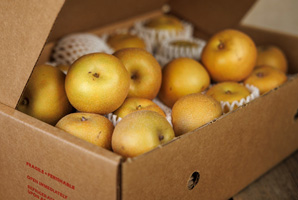 Harvest Box - Asian Pears