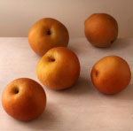 five fresh orange brown colored whole asian pears on a tan tablecloth