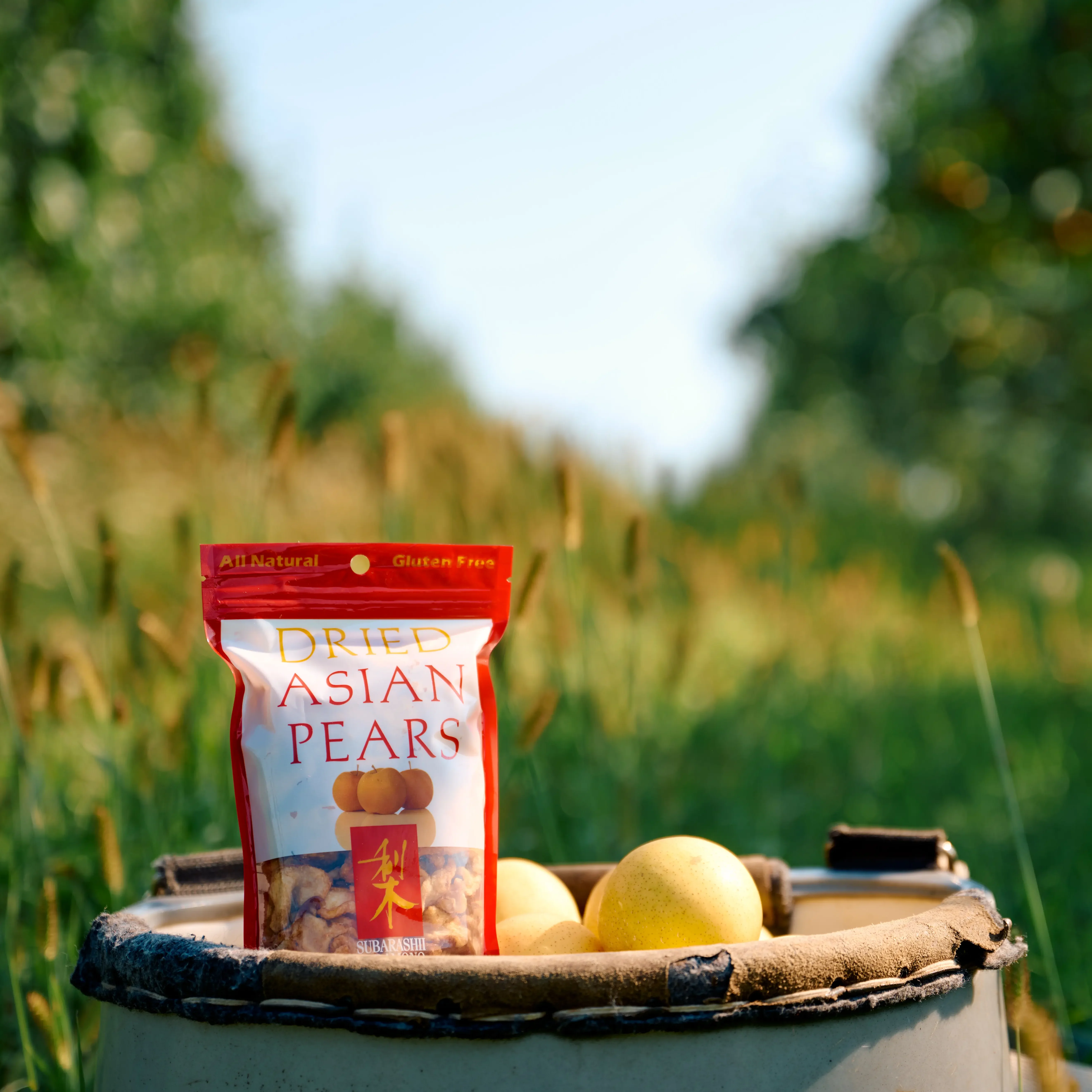 Dried pears in pear basket in the orchard