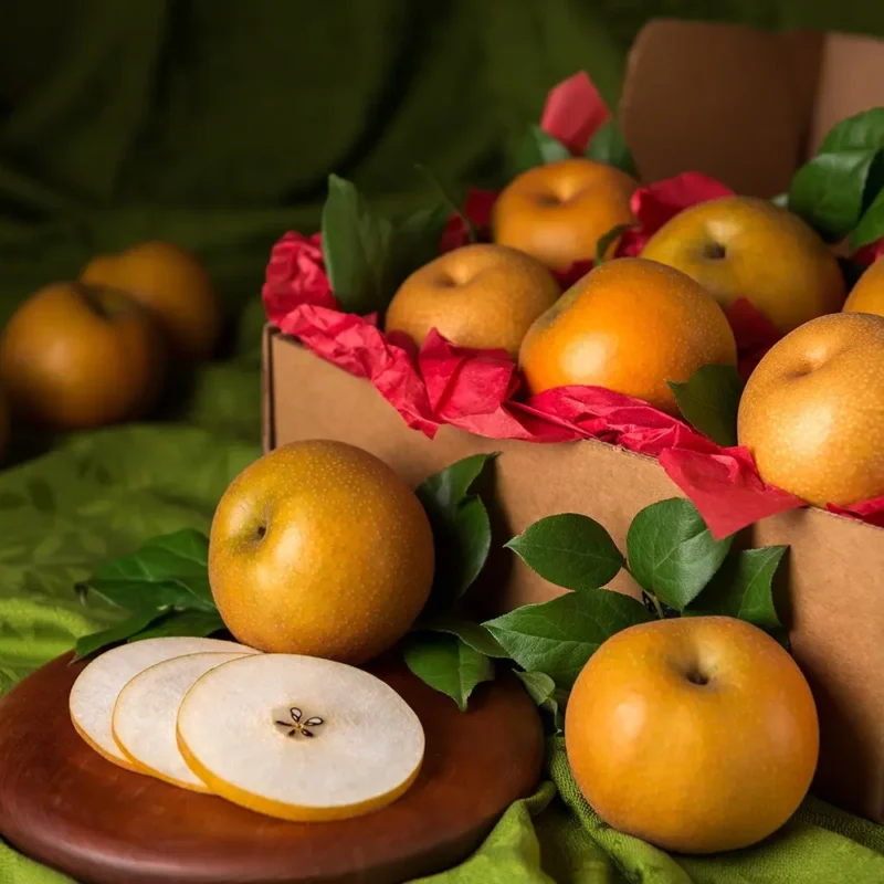 Corporate Variety Collection Gift Box